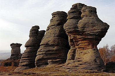 电竞世界杯《DOTA2》：TS战队再次夺冠 获100万美元奖金