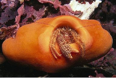 原手游《王权：三国》将于1＆11登陆Switch和PC